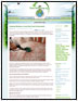 Cleaning Mistakes to Avoid that Harm the Environment